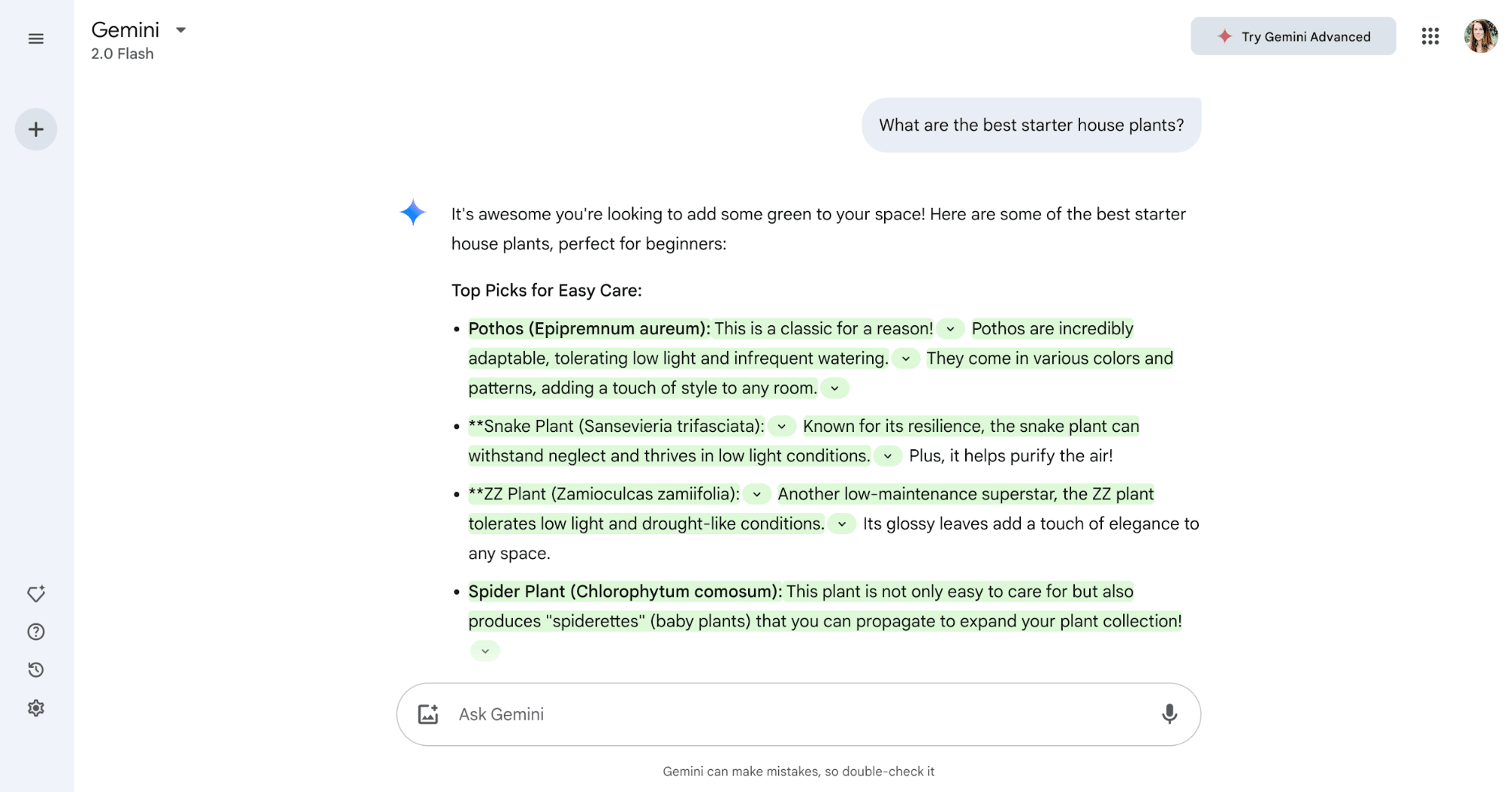 A screenshot of Google Gemini’s interface
