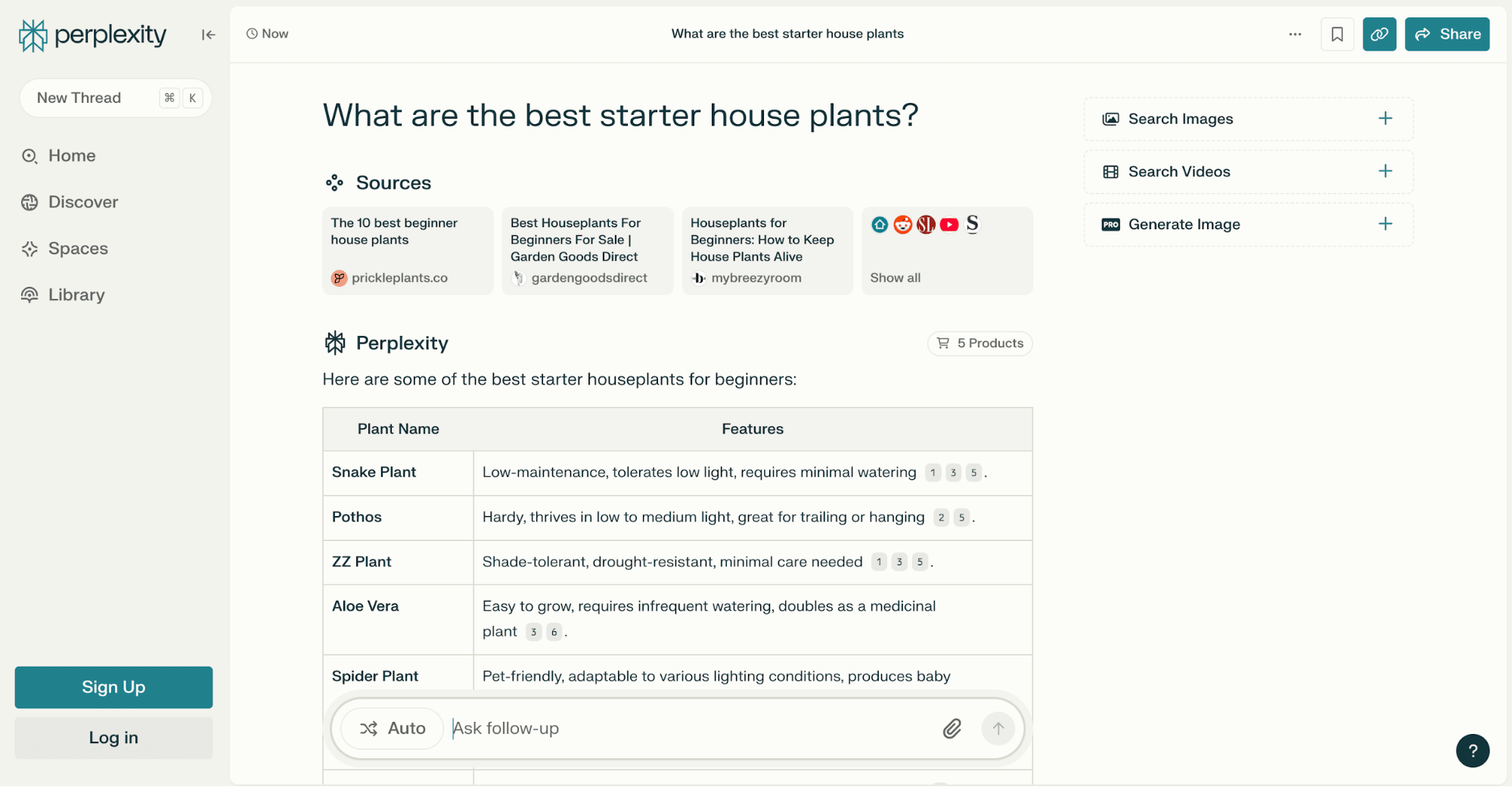 Perplexity AI’s interface