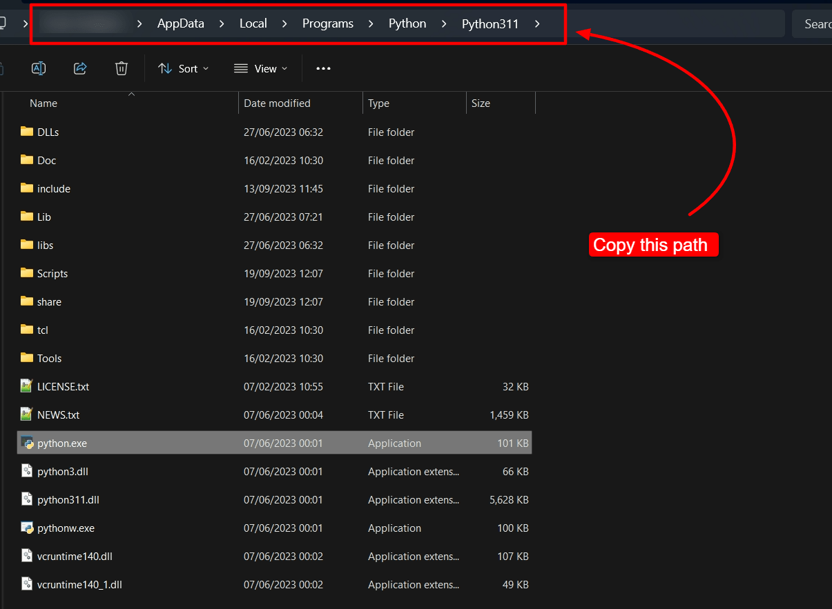 The location of the python.exe file. 