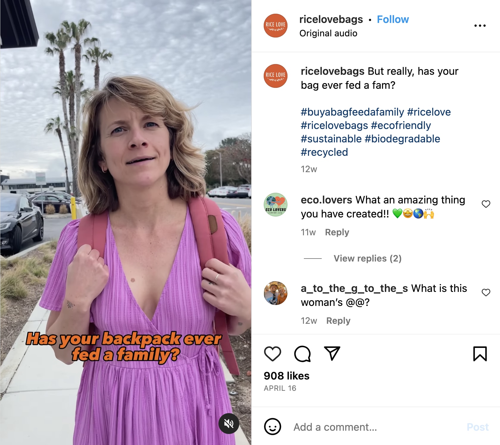 Screenshot of Ricelovebags' Instagram engagement