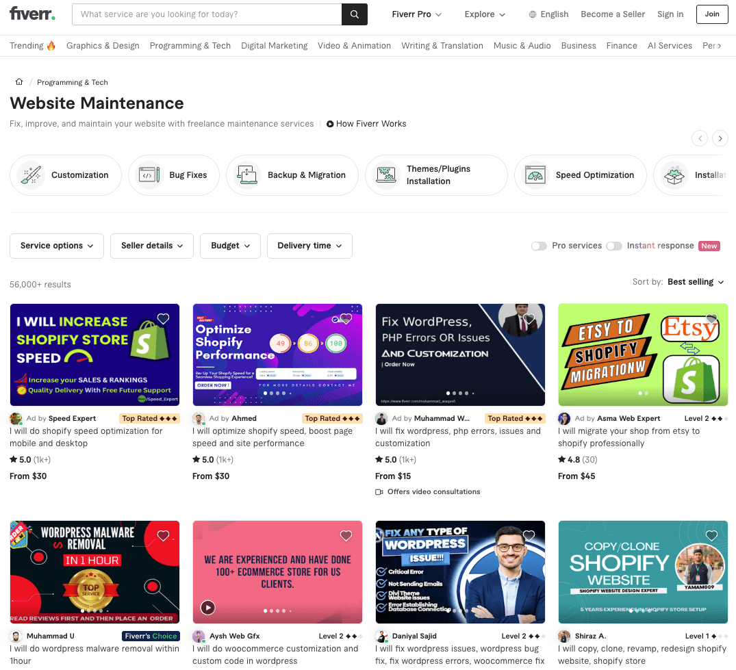 Website Maintenance Services on Fiverr