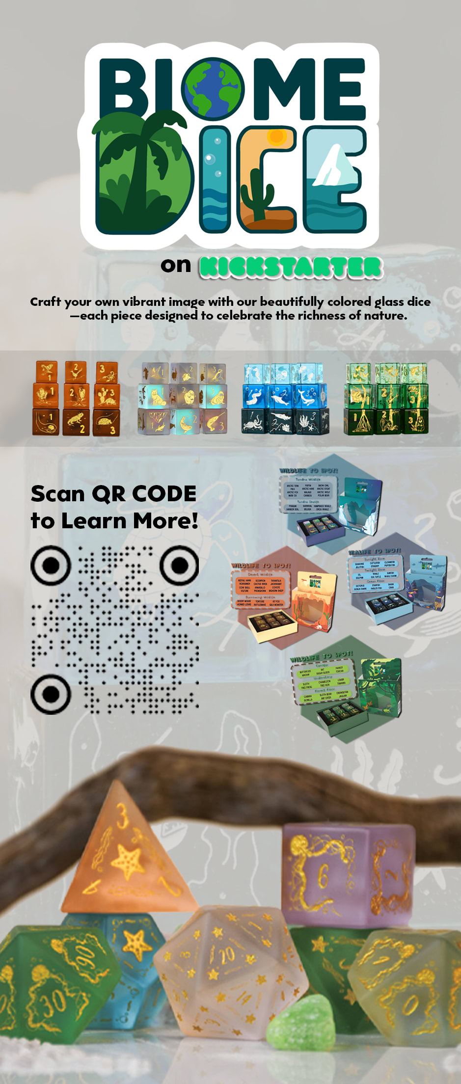 Biome Dice Kickstarter Print Campaign attachment