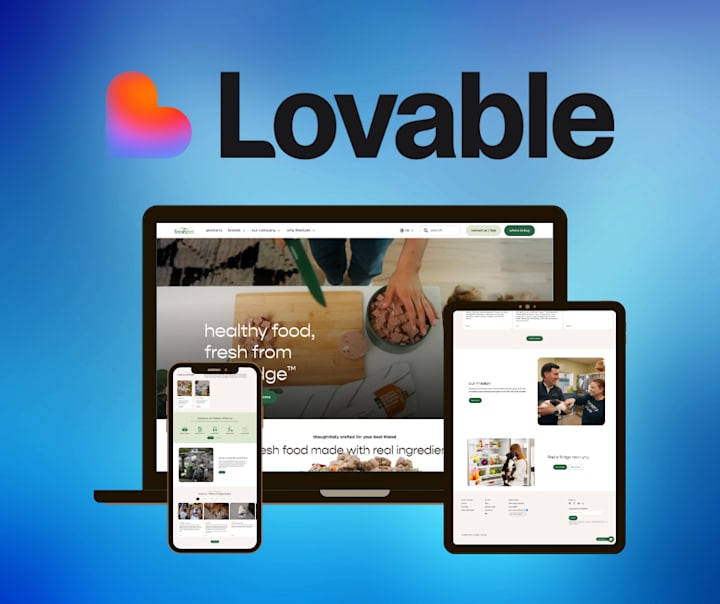 Paw Connect Hub responsive website portfolio preview