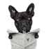 make pet painting using photo