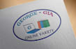 manually vector trace, recreate logo with high resolution