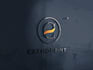 do 2 modern logo designs in 24 hours with copyrights