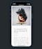 make your wordpress website mobile friendly