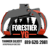 do manual vector tracing any image or logo fast delivery