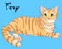 draw your pets in disney style