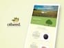design a highest quality wix website