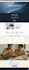 do shopify bug fixing, store customization, troubleshooting