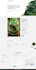 do web design, redesign, build or develop your wordpress website