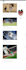 build a responsive wordpress website and blog