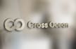 create a sleek, professional logo that inspires trust