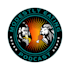 design, redesign, edit, vectorize any logo or graphic