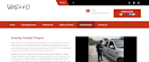 make business website in wordpress or custom development