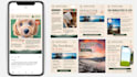 design editable canva templates for social media posts