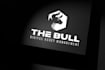 design a professional brand logo design