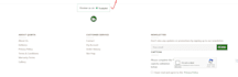 fix any issues and bugs in opencart online store