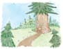 illustrate your childrens book