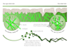 prepare scientific illustration and medical figures