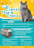 design flyer pet shop, pet grooming, pet store, pet clinic, etc
