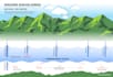 design data driven infographics for linkedin, reports and investor presentations
