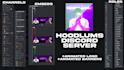 setup custom discord server within 24 hours