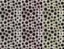 design seamless pattern textile prints pattern design
