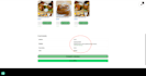 setup woocommerce shipping and solve issue