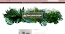 design and develop a professional german wix website