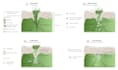 prepare scientific illustration and medical figures