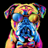 custom illustrations by an experienced artist