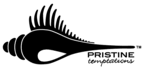 vectorize or tracing logo or Icon EXPRESS
