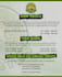 design a professional logo for your company within 24 hours