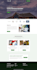 do web design, redesign, build or develop your wordpress website