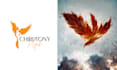 do a timeless logo design and branding