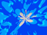 design,animate your webcam overlay, alert and logo animation