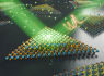 create scientific illustrations of your work