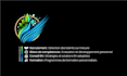 design an amazing professional logo