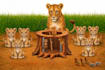 do any adobe illustrator work