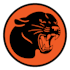 redraw logo to vector, convert image to vector, , vector tracing, vectorize
