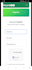 build a flutter mobile app for your business