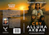 design a professional amazon KDP book cover
