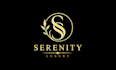 design a modern, luxury, fashion or beauty logo in 24 hours