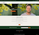 edit or fix wordpress website