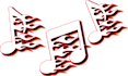 perfectly trace logo or image in vector
