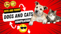 collect clips for your youtube reaction videos