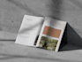 design book, magazine using indesign or canva
