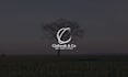 do modern minimalist and luxury logo design